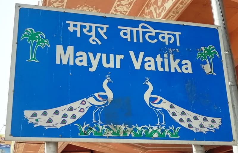 मयूर वाटिका जयपुर