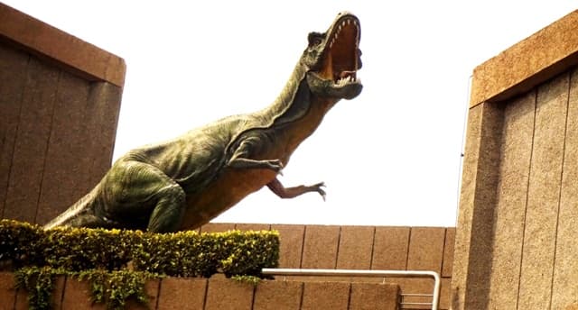 राष्ट्रीय विज्ञान केंद्र, नयी दिल्ली