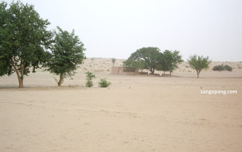 ढाणी की कहानी