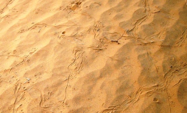 उत्तर प्रदेश में किसानों को कर्जमाफी