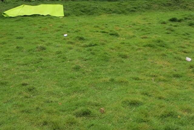 बराबरी का गोल